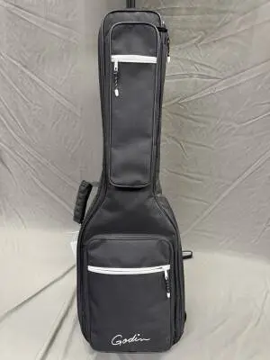 Godin Stadium '59 w Gigbag | Desert Green 2